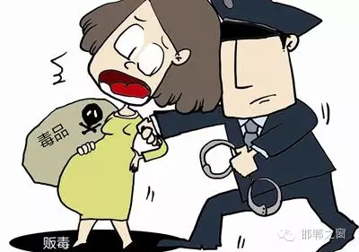 2016年初，涉縣警方查獲一起涉毒案件，鑒于該案涉案人員多、毒品交易量大，涉縣警方立即將案情上報，被公安部確立為“目標-2016-314”號毒品案件。涉縣警方成立專案組，經過多方追查，先后抓獲團伙人員13名，繳獲毒品5349克，并查明上線“濮姐”的真實身份為陳某。